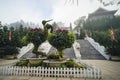 Birds carved out of the bushes. Decorative bushes. Plants on the square in front of the monastery. Stone Steps in Ba na Hill Royalty Free Stock Photo