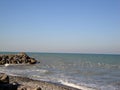 Birds in the caspian sea