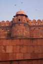 Birds circling above the tower along the red wall of the Lal Quila, Red Fort in Delhi Royalty Free Stock Photo