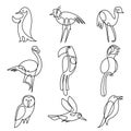 Birds continuous line drawing elements set Royalty Free Stock Photo