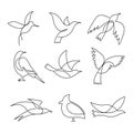 Birds continuous line drawing elements set Royalty Free Stock Photo