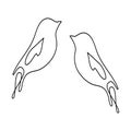 Birds continuous line drawing isolated on transaprent background. Vector illustration Royalty Free Stock Photo