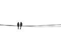 Birds couple sitting on wire. Love and affection silhouette vector illustration, simple stock image. Sparrow family on cable