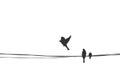 Birds couple sitting on wire. Love , divorce, separation silhouette vector illustration. simple stock image. Sparrow family on Royalty Free Stock Photo