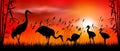 Birds cranes on sunset background Royalty Free Stock Photo