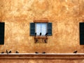 Birds and Decorative Window Outside Historic Home