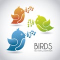 Birds Royalty Free Stock Photo
