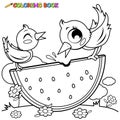 Birds eating a slice of watermelon. Vector black and white coloring page.