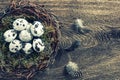 Birds eggs in nest over wooden background vintage