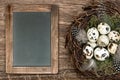 Birds eggs in nest, wooden background, blackboard