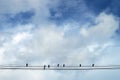 Birds on electrical wire with background of cloud on blue sky