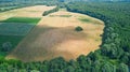 Birds eye aerial top view of rural field and forest area, green trees and meadows Royalty Free Stock Photo