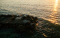 Birds eye aerial view of some seagulls standing on a beach and flying over the sea Royalty Free Stock Photo