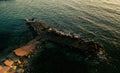 Birds eye aerial view of some seagulls standing on a beach and flying over the sea Royalty Free Stock Photo