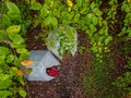 Birds Eye view of a campground