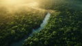 A birds eye view of a dense backlit forest with a river snaking through Royalty Free Stock Photo