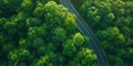 Birds-eye view of green forest below, separated by winding asphalt road. Luxurious aesthetic background. Generative AI Royalty Free Stock Photo
