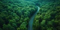 Birds-eye view of green forest below, separated by winding asphalt road. Luxurious aesthetic background. Generative AI Royalty Free Stock Photo