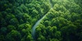 Birds-eye view of green forest below, separated by winding asphalt road. Luxurious aesthetic background. Generative AI Royalty Free Stock Photo