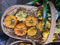 Birds Eye View of miniture pumpkins in a oval shaped basket