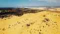 Aerial View of Sandy Area With Trees