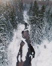 Birds eye view of small river in snowy forest Royalty Free Stock Photo