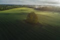 Birds eye view of trees and agriculture field