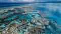 A birds eye view of a vast and eerie expanse of bleached coral a disastrous scene caused by rising ocean temperatures