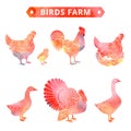 Birds farm in watercolor