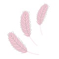 Chicken feather. Design for Easter, Christmas