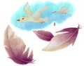 Birds and feathers