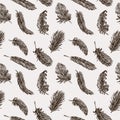 Birds feathers pattern