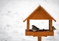 Birds in feeder Royalty Free Stock Photo