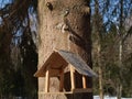 Birds feeder and titmouse on a tree Royalty Free Stock Photo