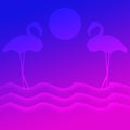 Birds Flamingos Standing and flying before Sun over the sea lake Illustration Background