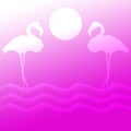 Birds Flamingos Standing and flying before Sun over the sea lake Illustration Background