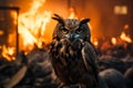 birds flee wildfires generative ai