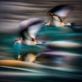 Birds flight movement illustration showing the blurred sky and bird Royalty Free Stock Photo