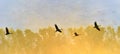 A silhouettes of cranes in flight. Royalty Free Stock Photo