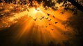Birds in Flight at Sunrise Through Forest Sunlight Royalty Free Stock Photo
