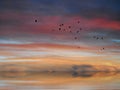 Birds fly  at   Dramatical sunset on blue pink sky yellow clouds skyline, water sea reflection beautiful landscape summer nature Royalty Free Stock Photo