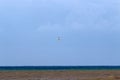 Birds fly high in the sky in Israel Royalty Free Stock Photo