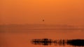 Birds fly over the lake with Orange sun light during sunrise