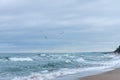 Birds fly over the sea on a cloudy windy day Royalty Free Stock Photo