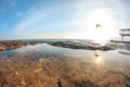 Birds fly over sea water at sunset Royalty Free Stock Photo