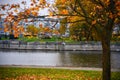 Birds fly over water in a city park in autumn Royalty Free Stock Photo