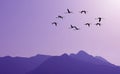 Birds flying against purple landscape in the background