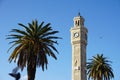 Birds flying around Izmir clock tower at sunset (Turkey) - pigeon in motion. Royalty Free Stock Photo