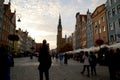 Birds flying around the town square in Gdansk