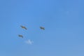 Birds Flying at Blue Sky Santa Elena Ecuador Royalty Free Stock Photo